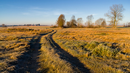 Mgły i szron o poranku, Rzeka Narew, Narwiański Park Narodowy, Podlasie, Polska © podlaski49