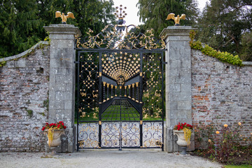 Ornament forged big iron garden gate at the stone wall. Gold and black