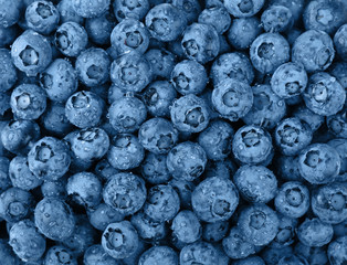 Background of blue toned fresh washed blueberries