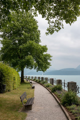 A walk in the park, around flowers, green trees and lake Thun