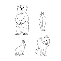 Set of northern winter animals: bear, penguin, rabbit, fox. Black outline on white background. Picture can be used in greeting cards, posters, flyers, banners, logo, further design etc. Vector