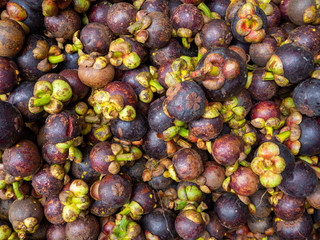 Mangosteen