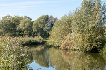 La rivière  Zieux à Clairmarais