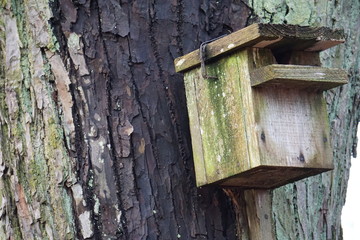 birdhouse on tree