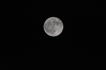 Full moon on black ground