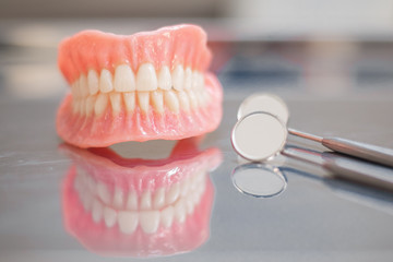 Two dentures.  Instruments and dental hygienist checkup concept with teeth model dentures and mouth mirror. Regular dentist checkups