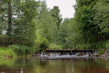 Obraz premium old wooden locks on the river