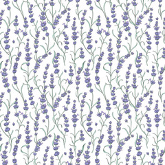Beautiful Provence lavender digital illustration. Pattern for fabrics, packaging design, or wrapping paper. Seamless pattern with lavender flowers on white background.