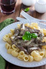 Beef pastry stroganoff with pasta, selective focus