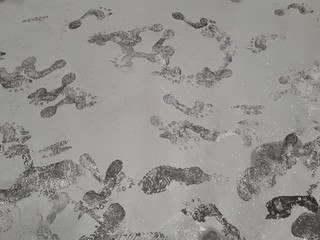 Footprints of people on the cement floor.