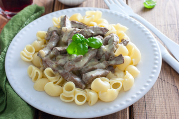 Beef pastry stroganoff with pasta, selective focus
