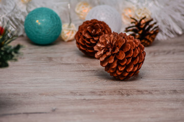 cedar cone close-up