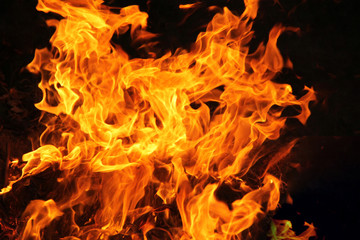 Fototapeta premium blaze fire flame texture background