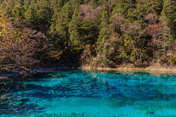 Stuuning view of beautiful pond in Jiuzhaigou national park on a sunny autumn day