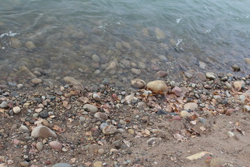 Colorado river bank