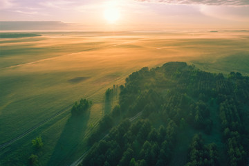Aerial view - Green flat fields in the fog early in the morning. Forest in the morning sun