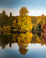 Autumn Tree Relflection