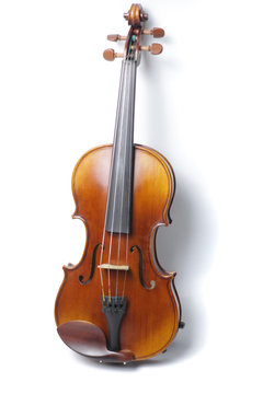  violin isolated on a white background, copy space