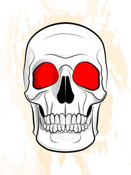 illustration of a human skull on a textured background	