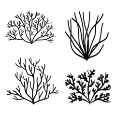 algae marine plants vector in isolation
