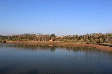 landscape with lake