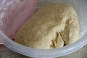 freshly fermented wheat flour pulp,