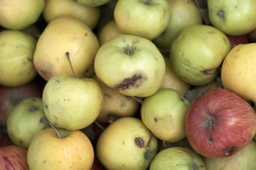 apples that start to rot in a crate, bad apples that are bad,