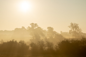 Lever de soleil sur le bocage vers Samer