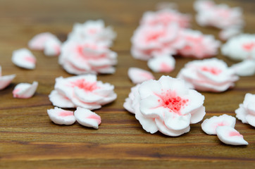 Obraz na płótnie Canvas Kirschblüten aus Eiweß Spritzglasur auf Holzhintergrund
