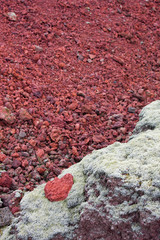 Green Moss And Red Lava Rocks, Iceland