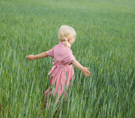 Naklejka na ściany i meble little girl in a checkered dress in a field with green grass