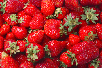 Strawberry. Fresh berries macro. Fruit background. Top view.