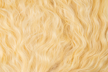Blond wavy hair pattern. Top view.