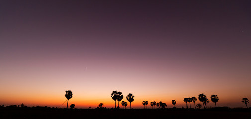 Fototapeta na wymiar Silhouette palm tree with sunshine background.