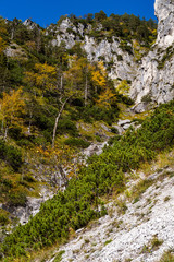 Sunny colorful autumn alpine scene. Peaceful rocky mountain view from hiking path, Upper Austria.