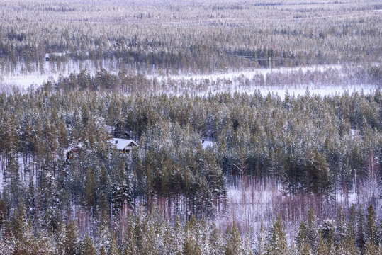 The house in the forest has covered with heavy snow from top view landscape in winter season at Lapland, Finland. © Joeahead