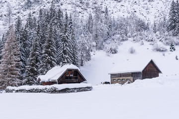 Stable, cowshed for cows and horses. Farm building built of stones and wood. Winter mountain landscape in the Alps. The building, trees and mountains covered with snow.
