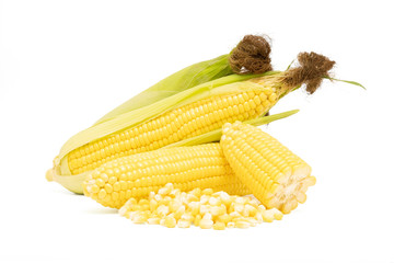 Corn with leaves isolated on white background
