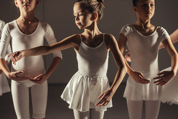 caucasian girls ballet dancers, beginners practice ballet dance together standing in position,...