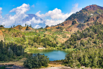 Fototapeta na wymiar beautiful landscape view of the Telaga Warna lake surrounded by trees, taken from the height area/aerial view, selectively focused