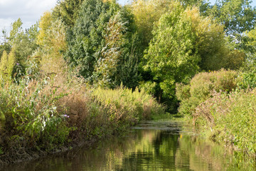 Les Hortillonnages à Rivery-lès-Amiens