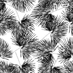 Seamless pattern  with palm leaves. Jungle foliage, black on white background.Vector illustration.