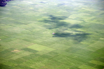 Landscape From Helicopter, With Helicopter Foreground and Rice Fields