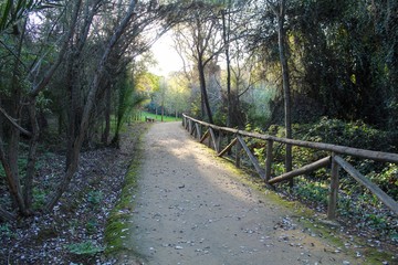 Amazing landscape whit plants and animals