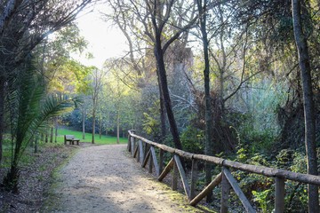 Amazing landscape whit plants and animals