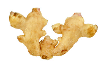 Fresh ginger root or rhizome isolated on white background, Ingredients of herbs for healing and healthy food or Natural therapy concept