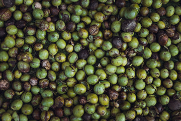 Group of green unripe and ripe walnuts on table - view from above.  Heap of nuts - top view angle photo. Harvest season in fall - peeled, raw and unripe fresh nuts on market.