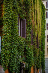 Fototapeta premium Beautiful and pitoresque street view in Rome, Trastevere district.
