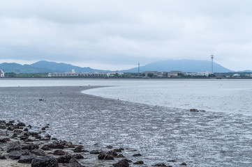 福岡市西区　今津湾の干潟