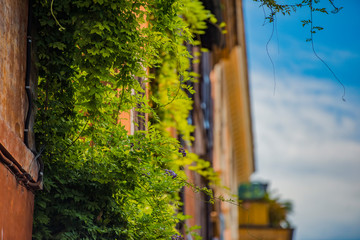 Beautiful and pitoresque street view in Rome, Trastevere district.